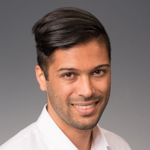 Assistant Professor, Math and Computer Science, Adelphi University
Lead Content Developer, Star Sonata