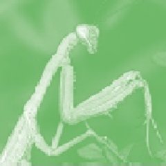 Costello_demo's profile picture. Meticulous Dismantling Contractor Services