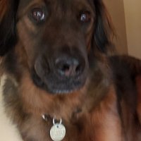 David Gardner (@oldmangardner) 's Twitter Profile