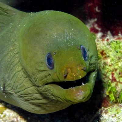 flexseal_life's profile picture. 