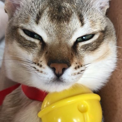 ななさんのプロフィール画像