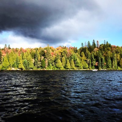 RAyekenova's profile picture. Enjoy learning, traveling, searching, swimming, cycling, photography