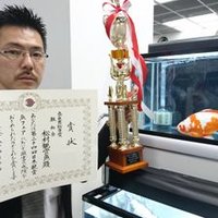 松村観賞魚 松村誠 (@1nvpr3zckeabnnu) 's Twitter Profile Photo