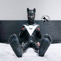 🌈 K.C. (@kevinpup82) 's Twitter Profile Photo 🌈 K.C. (@kevinpup82) 's Twitter Profile Photo