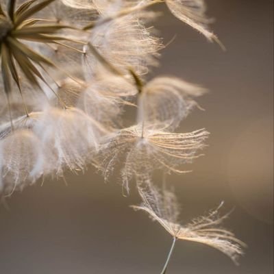 yurimakiritare's profile picture. De paso por estos caminos.
#Q