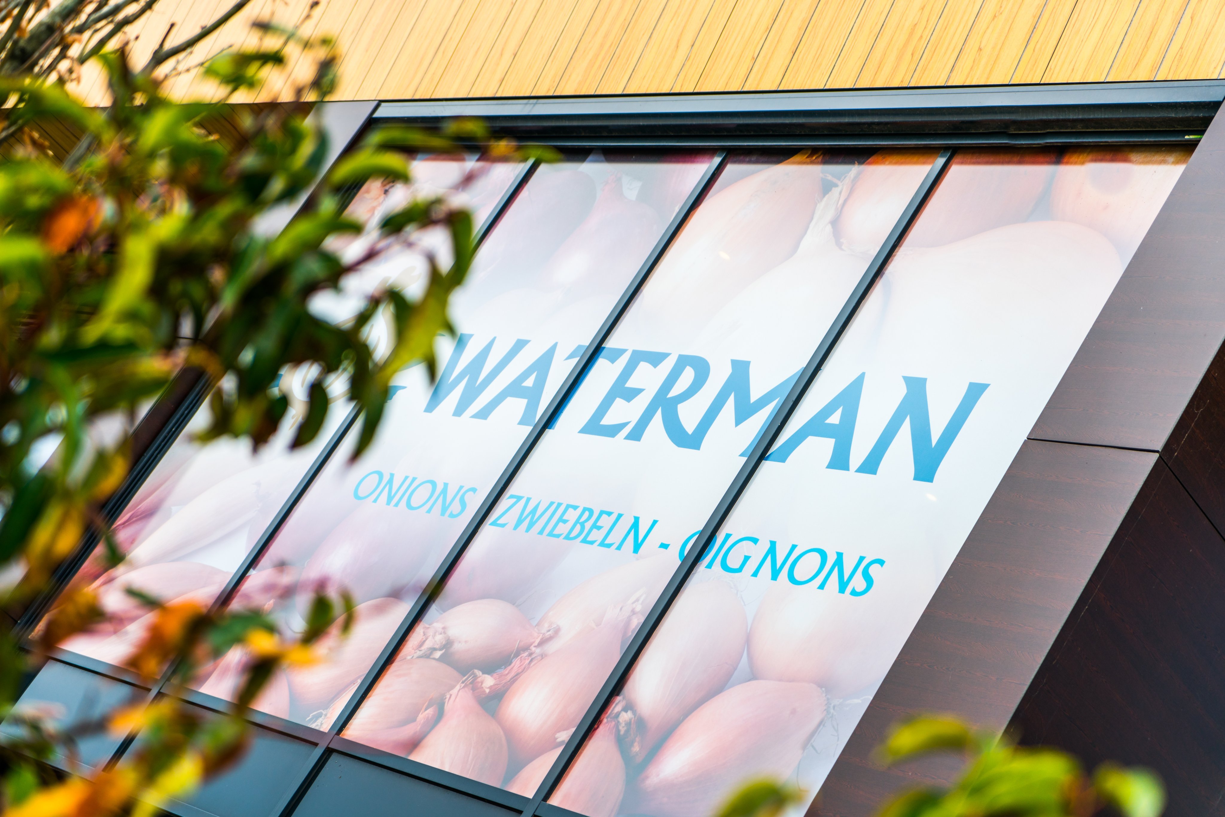 WatermanErik's profile picture. 