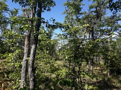 signalidunabor's profile picture. 