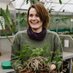 Carly Green (@floramental) Twitter profile photo Carly Green (@floramental) Twitter profile photo