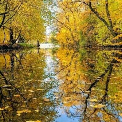 vishnu2361's profile picture. Love is god