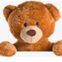 Daily Bear Times (@editordbt) 's Twitter Profile