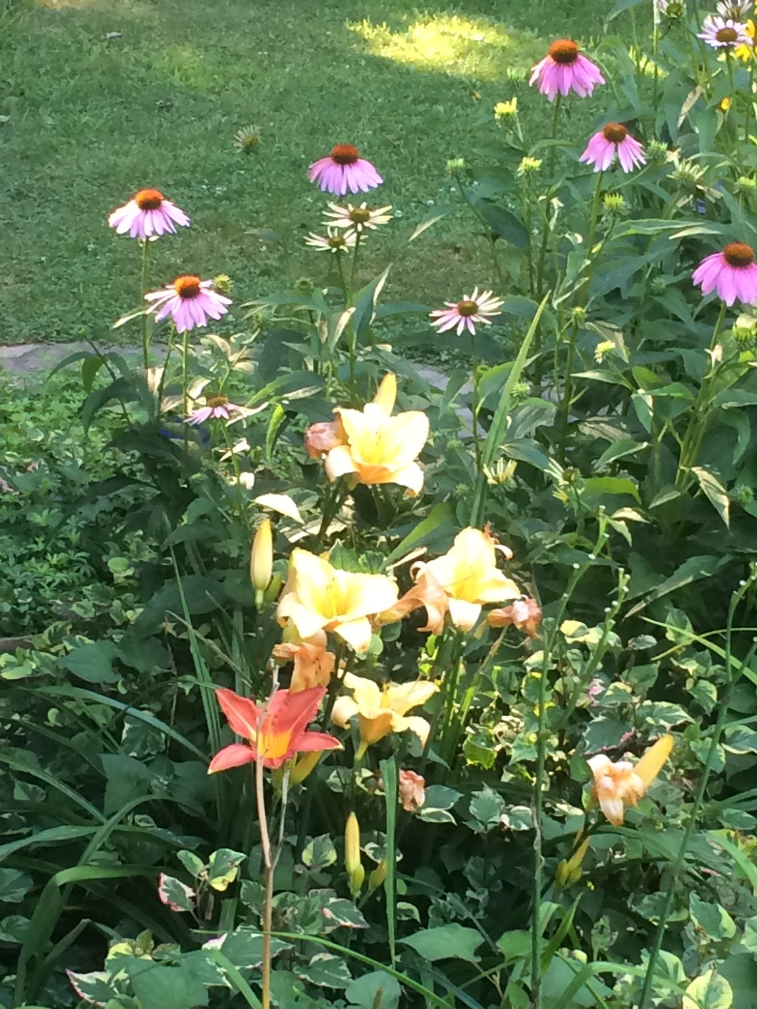 Tech1815's profile picture. 