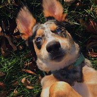 Jemma Thoughts (@thoughtsjemma) 's Twitter Profile