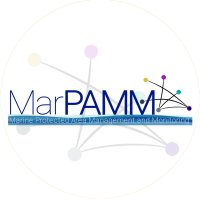 MPAmanagement(@MarPAMM_project) 's Twitter Profile Photo