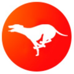 Tienda online de accesorios para #galgos y todo lo relacionado con el #galgo #todoparagalgos #greyhound #tiendagalgos
 IG: https://t.co/V01YP9UTCV