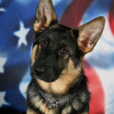 bhumbramd's profile picture. 