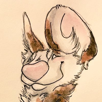 Coffee Crittersさんのプロフィール画像
