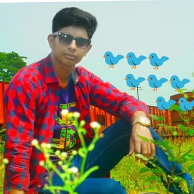 PhoneSkill2's profile picture. Education,