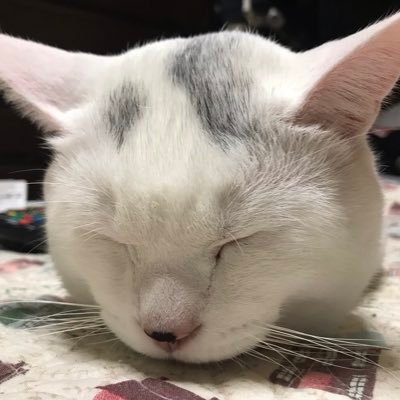 聖人さんのプロフィール画像