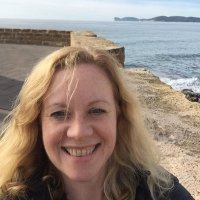 Cathy Dwyer (@profcmdwyer) 's Twitter Profile