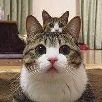 mmmnnn (@mmmnnn02311709) Twitter profile photo