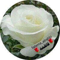 🌹فاطمه🌹 (@fatema_alrahbi) 's Twitter Profile