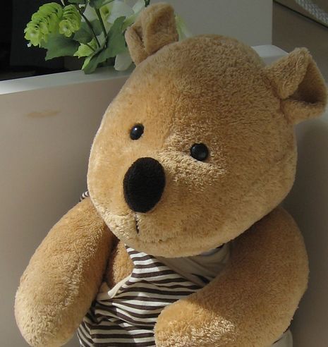 dara_kkuma's profile picture. I LOVE （リラッ）クマ、ケーキ、チョコ、マロン（グラッセ）、赤ワインなど。