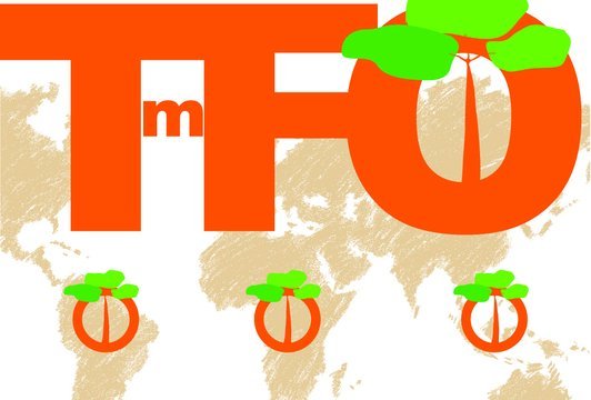 TmFO is a pan-tropical network working to increase our understanding of the long term effects of logging on tropical forest ecosystems.