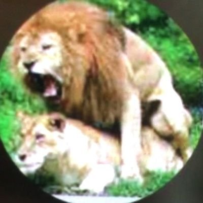 iiiibr16's profile picture. 