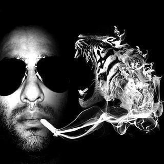 kashel44's profile picture. 