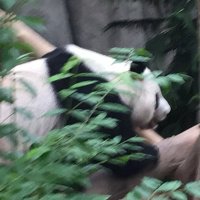 tsi (@tsi) 's Twitter Profile