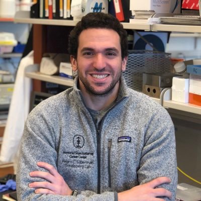Pedro C Silberman, PhD, MEng Profile