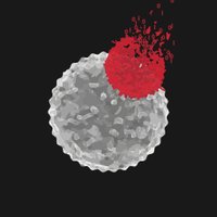 IOTN Moonshot (@iotnmoonshot) 's Twitter Profile