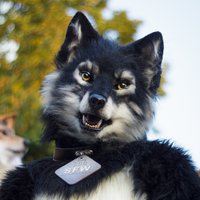 Silverfoxwolf(@Silverfoxwolfen) 's Twitter Profile Photo