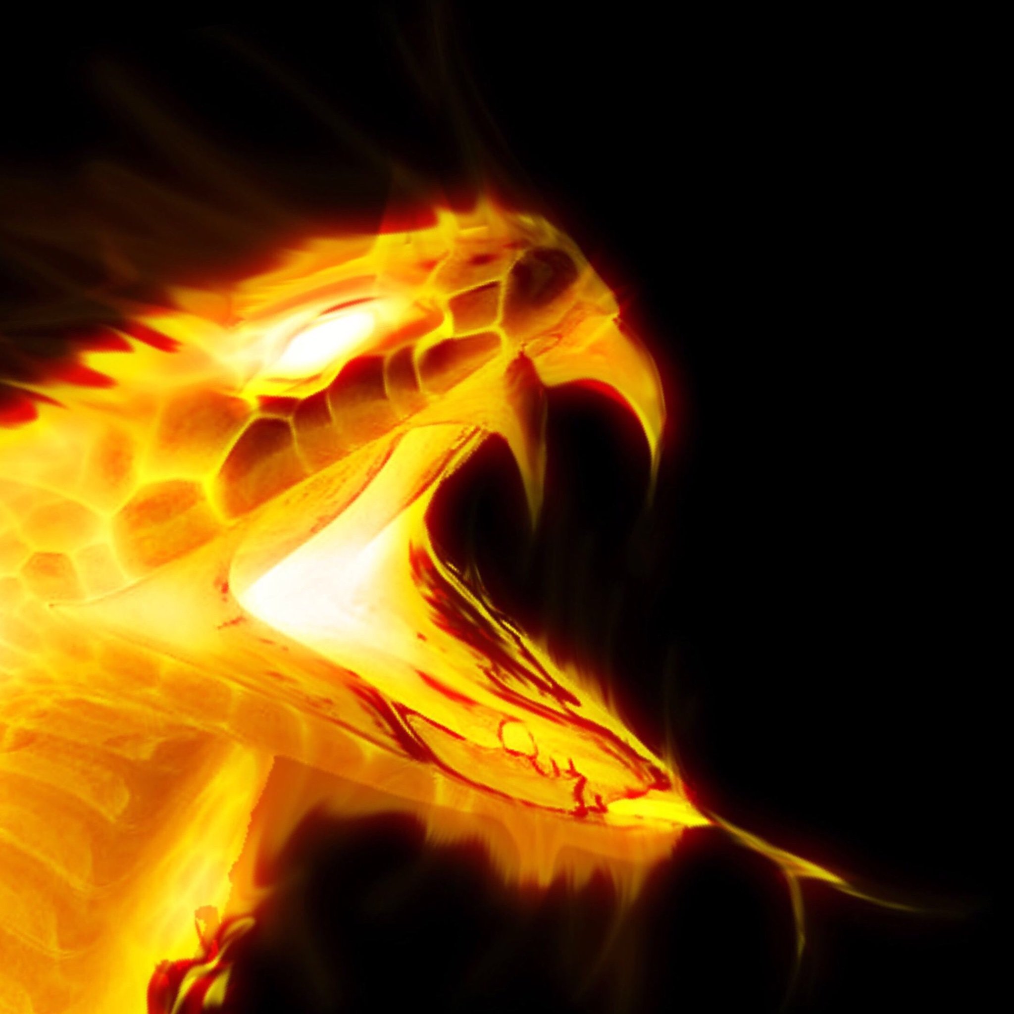 ajo2003_'s profile picture. 22 y/o interested in rockets, photography, and nature