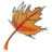 sukhu5's profile image
