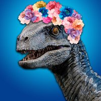 Regional Grumpyarse Raptor(@SineadRivka) 's Twitter Profile Photo