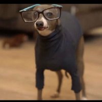 kkanonymous (@kkanonymous1) 's Twitter Profile