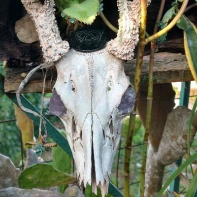 Lalo10528121's profile picture. SAFE THE PLANET ON MONDAY NO CREDIT OR CASH. Movimiento No Se Consume todos los lunes Ni Por Tarjetas ni Cash para salvar el Planeta.