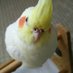 maruru (@maru17_1122) Twitter profile photo maruru (@maru17_1122) Twitter profile photo