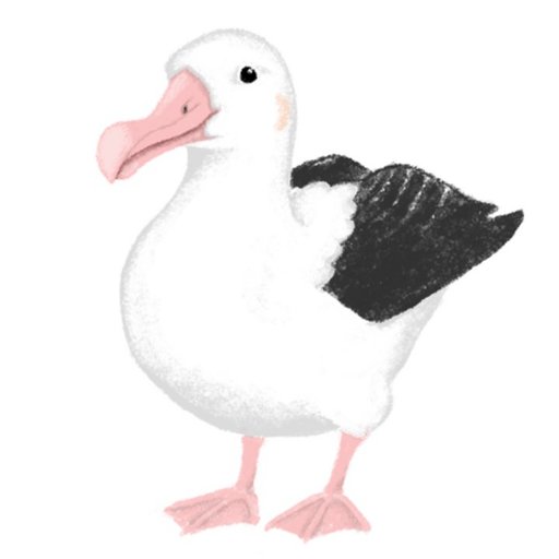 albatross_story Profile Picture