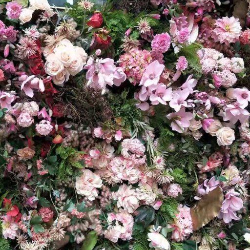 Jojo55853082's profile picture. I like you , just like you