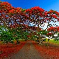 Houzaifa Cader (@houz) 's Twitter Profile