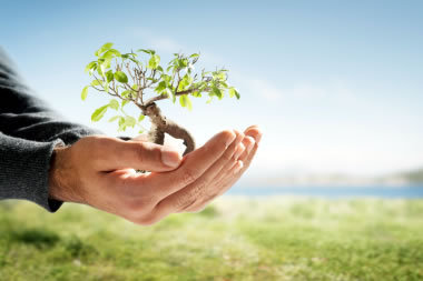 http://t.co/p4BGplCA6d, un blog sobre diversas oportunidades de negocio a partir de un uso sostenible del medio natural...