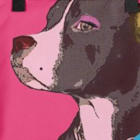 Mia Feinstein (@miafeinstein) 's Twitter Profile