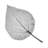 xefer's profile image