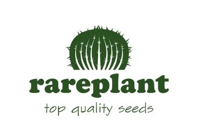 Succulent and plant seeds for your collection! worldwide shipping - https://t.co/N14hxvjoE8