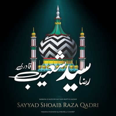 SyedShoaibmiya Profile Picture