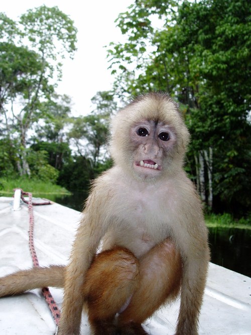 BerntHagen's profile picture. 