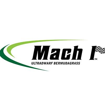 Mach 1, this premium turfgrass is a genetically strong, high-end performer that is both heat and drought tolerant.