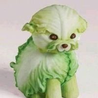 ibnrydh's profile picture. Well, hi